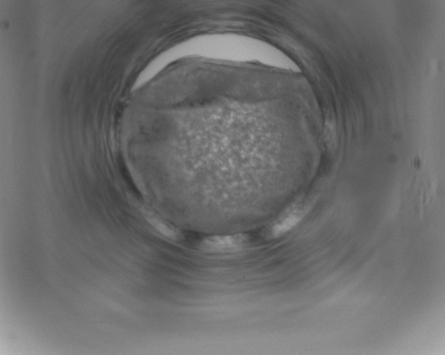 X0000076310381200610271945