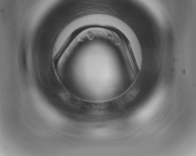 X0000076310382200610271945