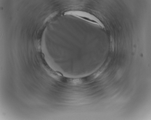 X0000076310383200610271945