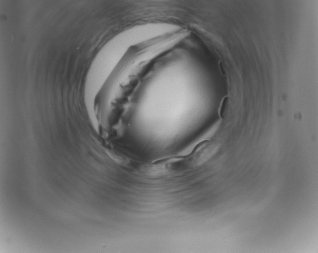 X0000076310384200610271945