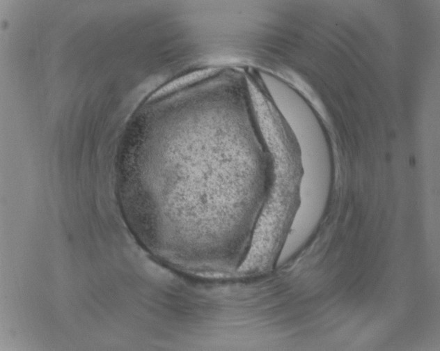 X0000076310385200610271944