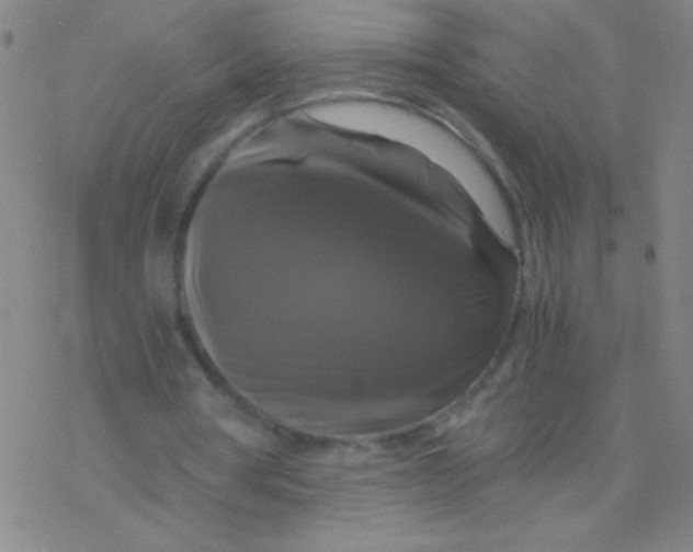 X0000076310386200610271944