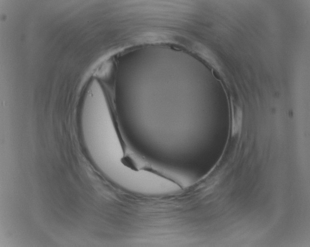 X0000076310387200610271944