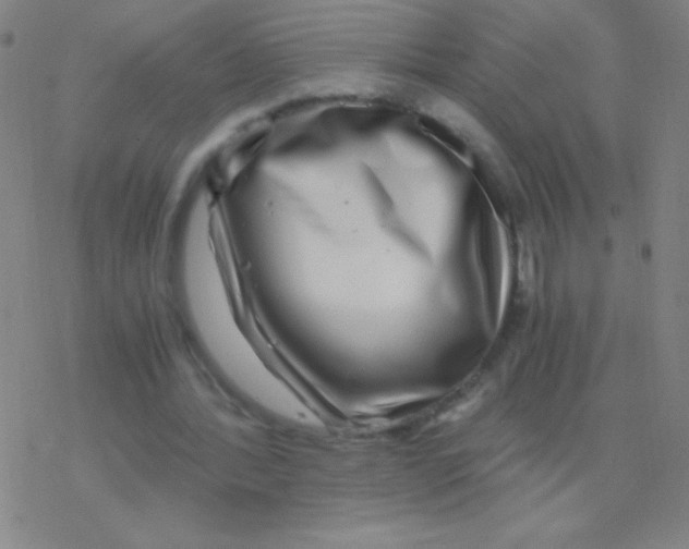 X0000076310388200610271944