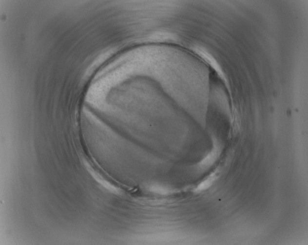 X0000076310389200610271944