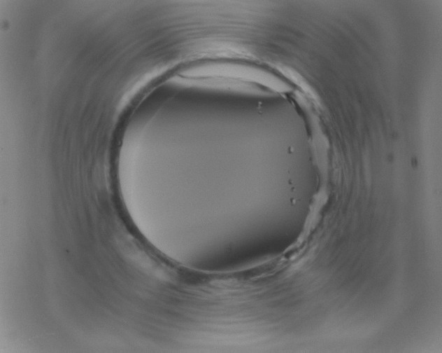 X0000076310391200610271944