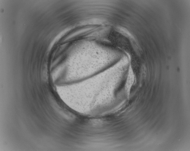 X0000076310392200610271944