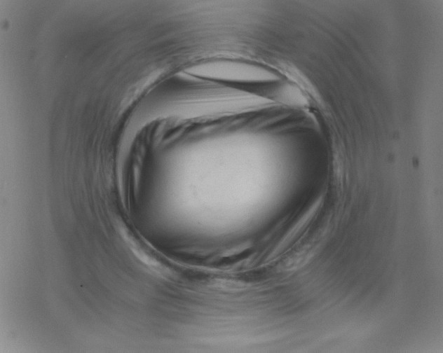 X0000076310393200610271944