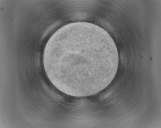 X0000076310396200610271944