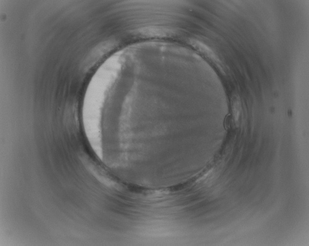 X0000076310398200610271944