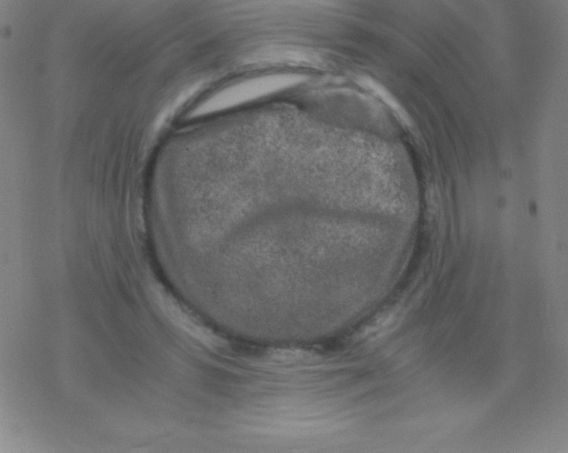 X0000076310399200610271944