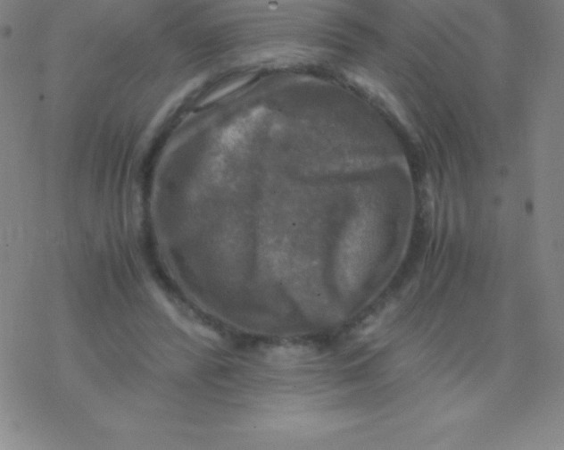 X0000076310400200610271944