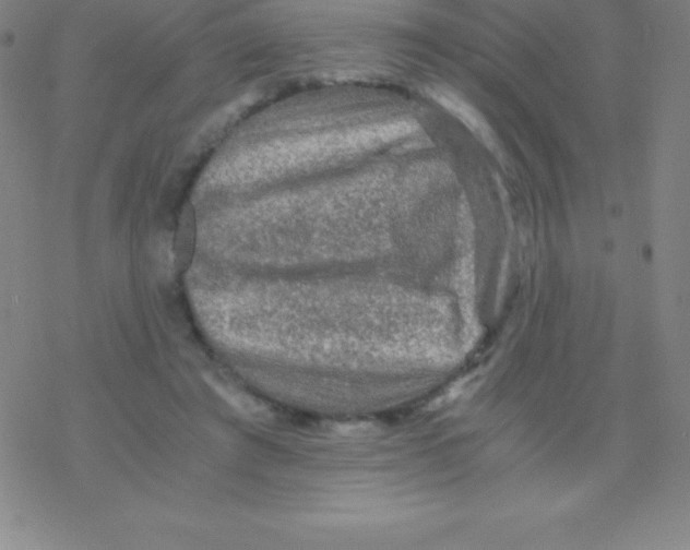 X0000076310401200610271944