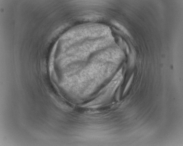 X0000076310403200610271944