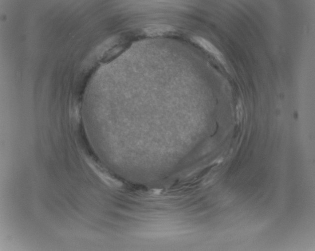 X0000076310405200610271944