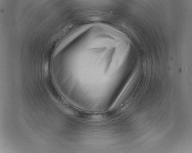 X0000076310406200610271944