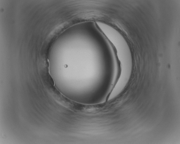 X0000076310407200610271944