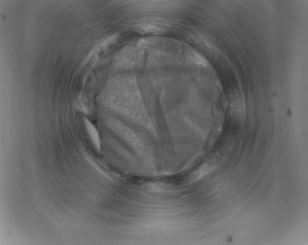 X0000076310408200610271944