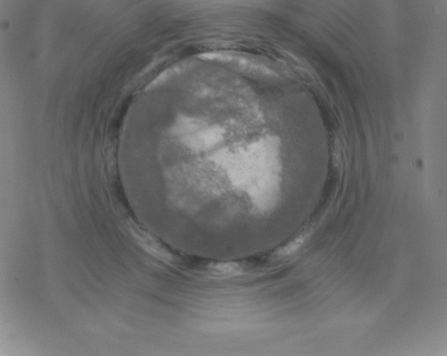 X0000076310409200610271944