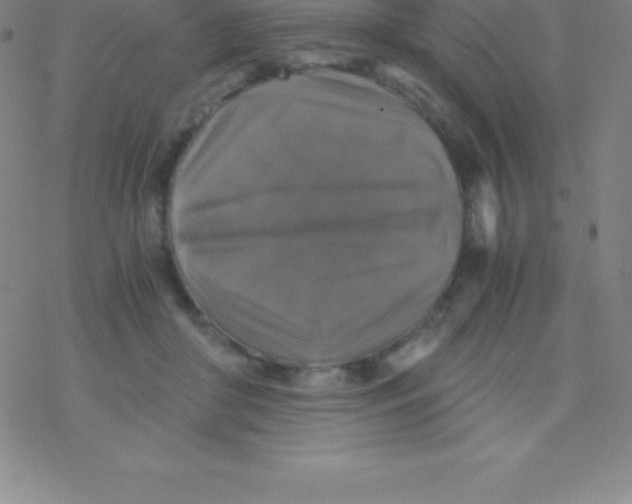 X0000076310410200610271944