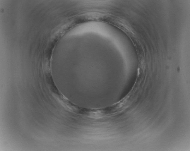 X0000076310411200610271944