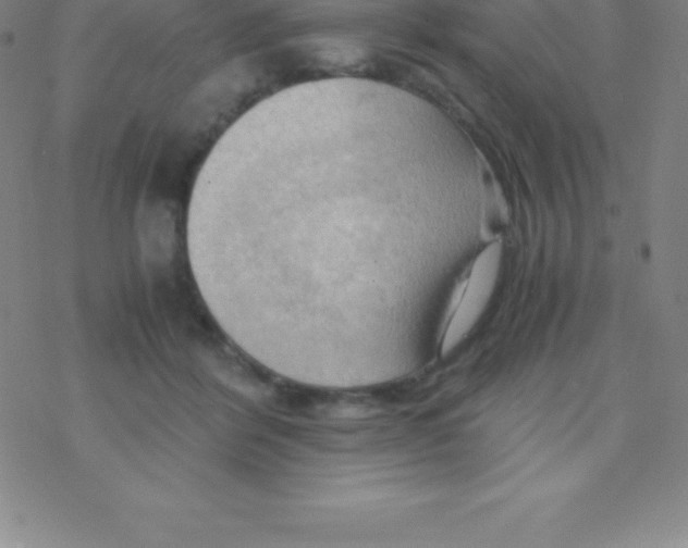 X0000076310412200610271944