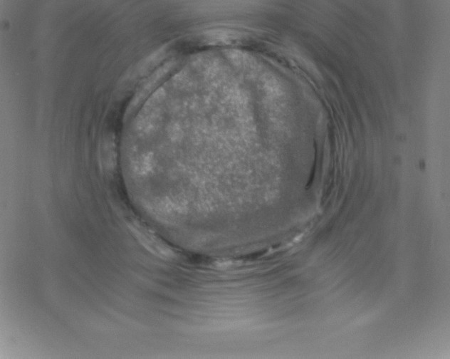 X0000076310413200610271944