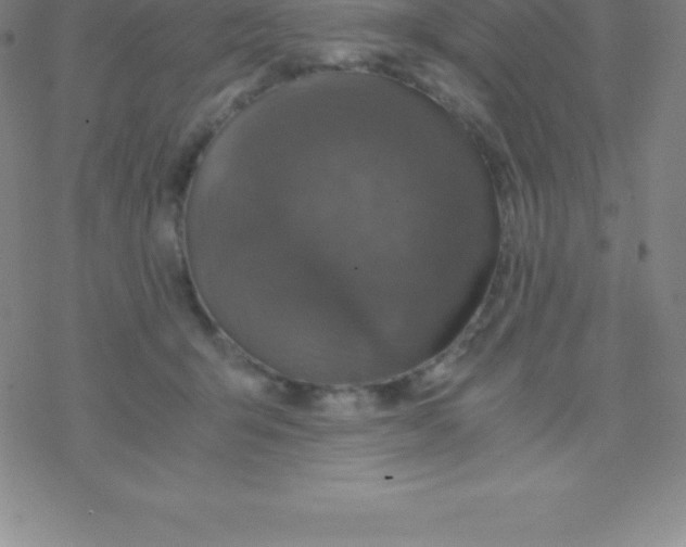 X0000076310415200610271944