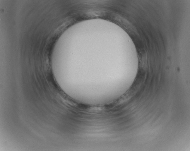 X0000076310418200610271944