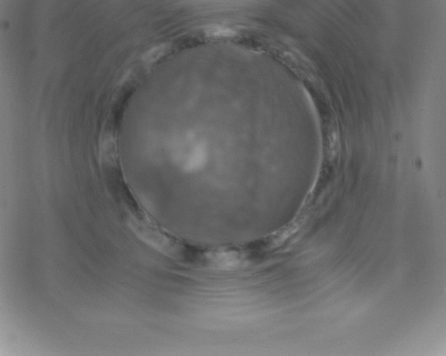 X0000076310419200610271944