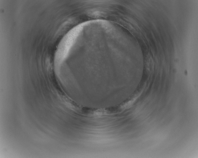 X0000076310420200610271944