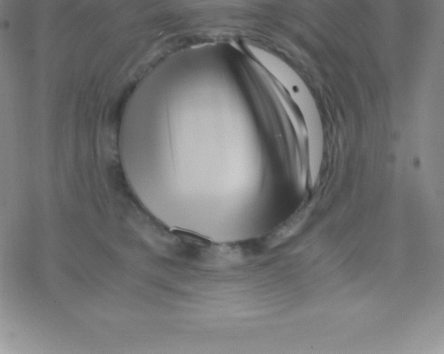 X0000076310421200610271944