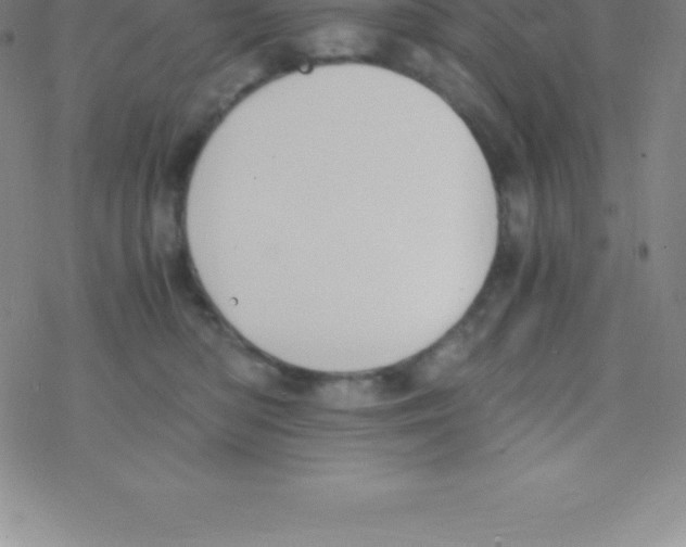 X0000076310422200610271944