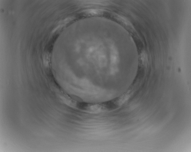 X0000076310423200610271944