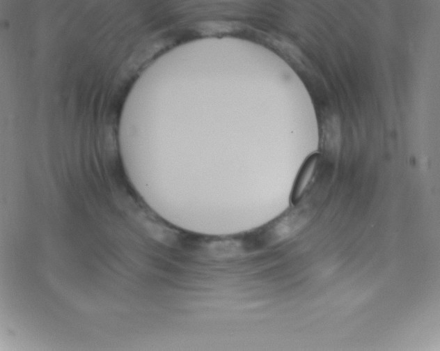 X0000076310426200610271944