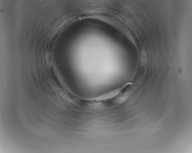 X0000076310428200610271944