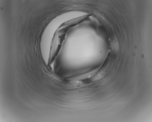 X0000076310429200610271944