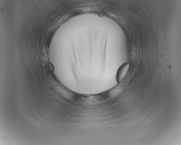 X0000076310430200610271944