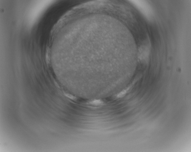 X0000076310431200610271944