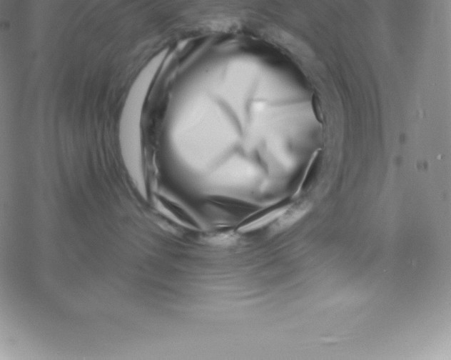 X0000076310432200610271944