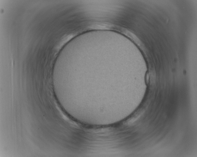 X0000076310433200610271943