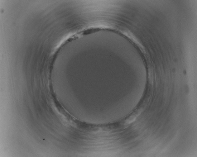 X0000076310434200610271943