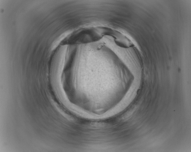 X0000076310437200610271943