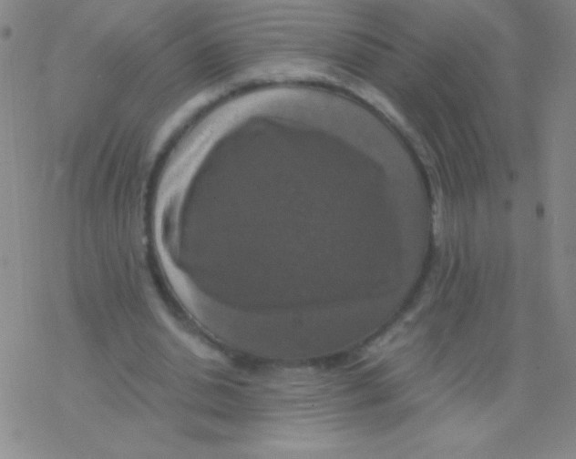 X0000076310438200610271943