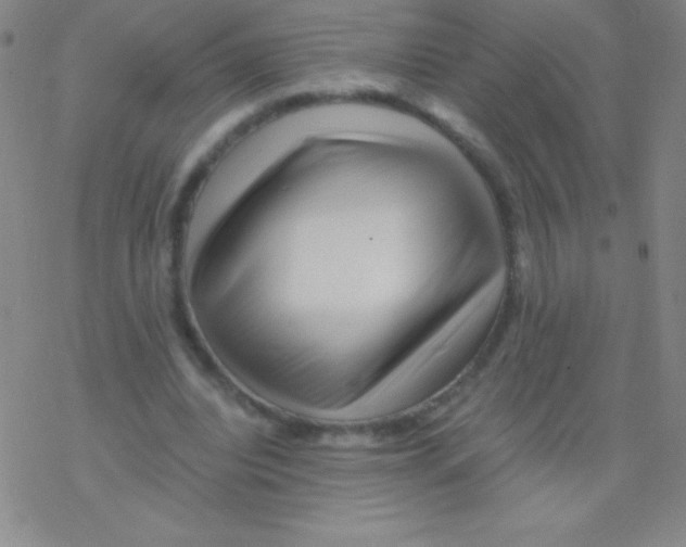 X0000076310440200610271943