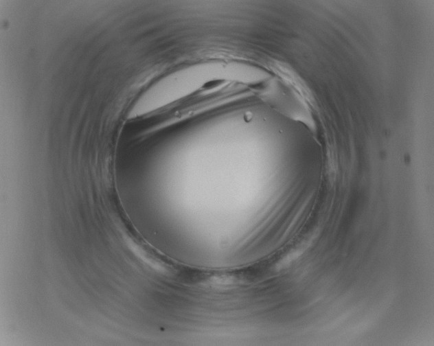 X0000076310441200610271943