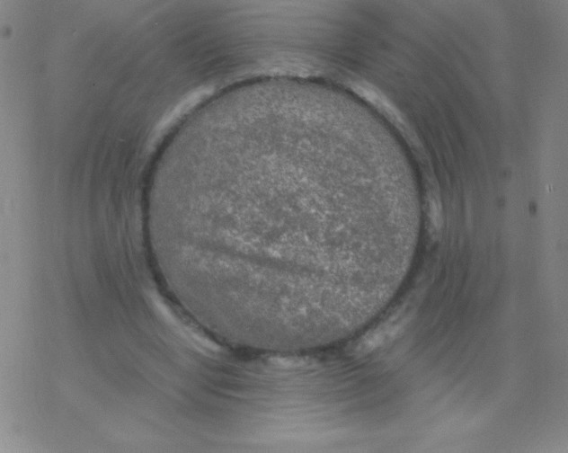 X0000076310442200610271943