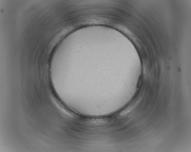 X0000076310445200610271943