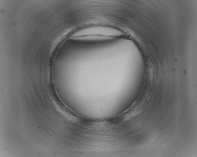 X0000076310446200610271943