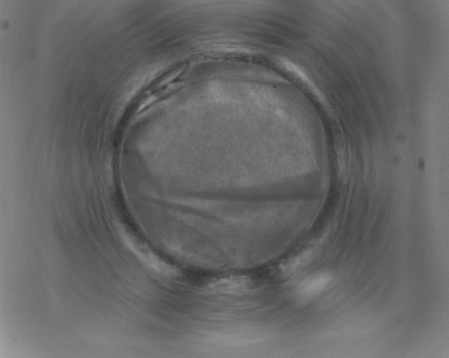 X0000076310447200610271943